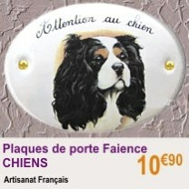 chien_faience